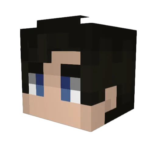 _Aquatorze Minecraft avatar head, 3D render