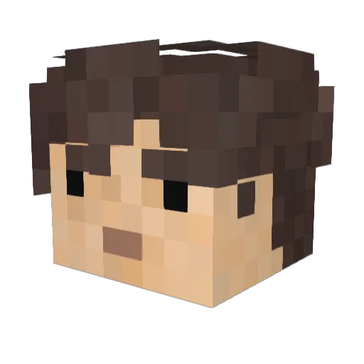 _Arcader_ Minecraft avatar head, 3D render