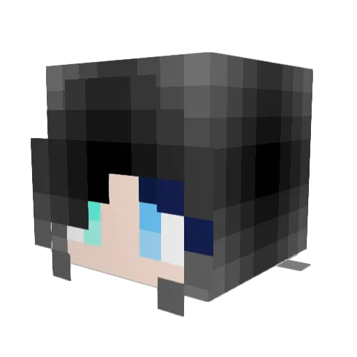 _ArcticWinter_ Minecraft avatar head, 3D render