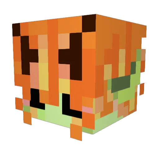 _Ari_xX Minecraft avatar head, 3D render