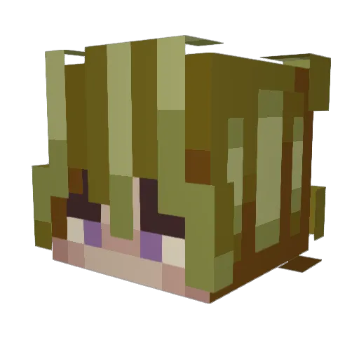 _Arji Minecraft avatar head, 3D render
