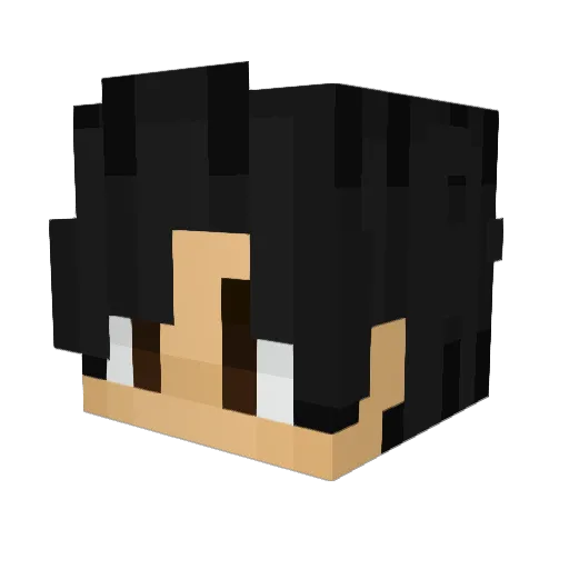 _Arkas_ Minecraft avatar head, 3D render