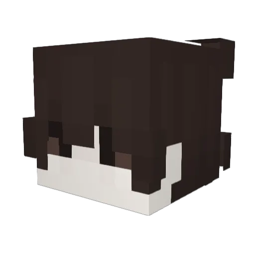 _Armadillo8_ Minecraft avatar head, 3D render