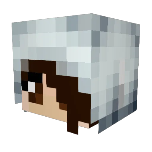 _Artefact_ Minecraft avatar head, 3D render