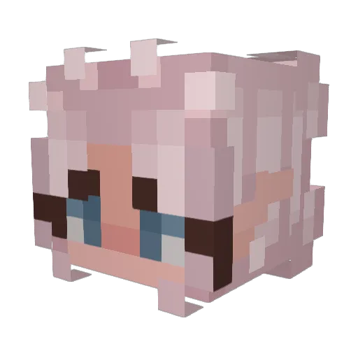 _Ash_Ellis_ Minecraft avatar head, 3D render
