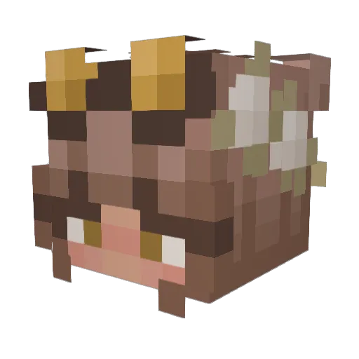 _Ash_pow Minecraft avatar head, 3D render