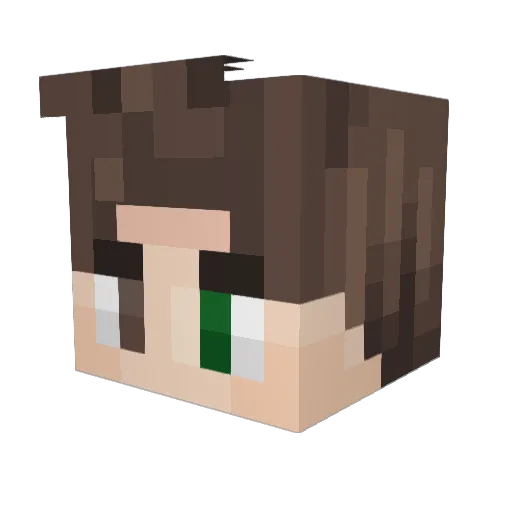 _Ashby Minecraft avatar head, 3D render