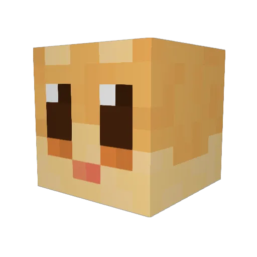 _Ashiya Minecraft avatar head, 3D render