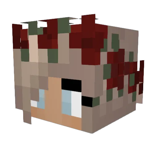 _Ashton___ Minecraft avatar head, 3D render