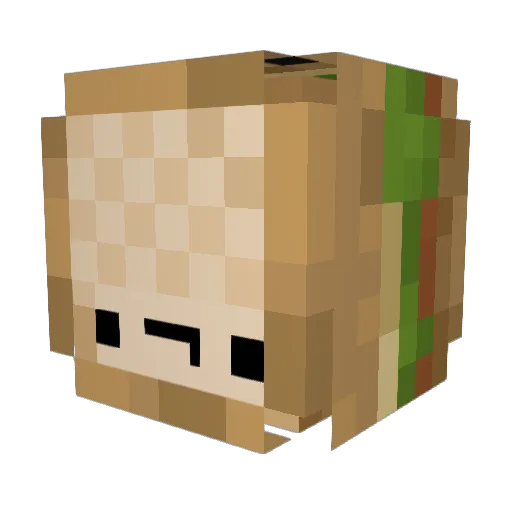 _AsianGuy_ Minecraft avatar head, 3D render