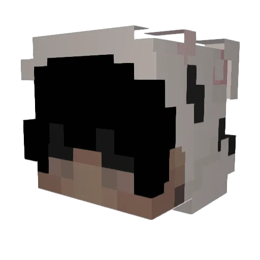 _Aspext Minecraft avatar head, 3D render