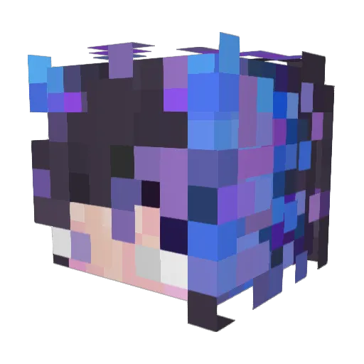 _Astralis Minecraft avatar head, 3D render