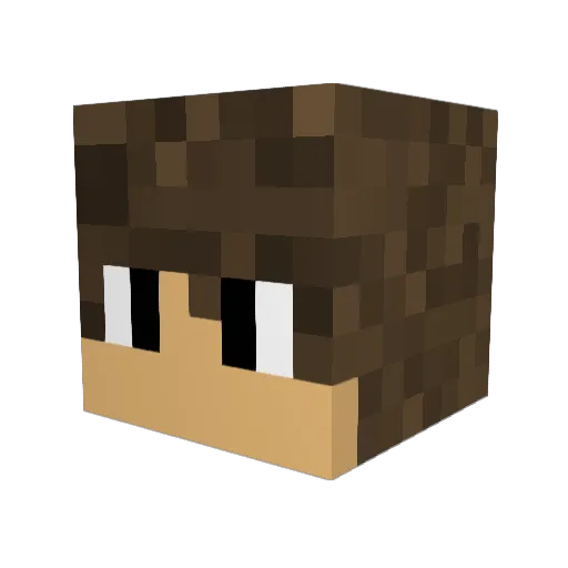 _Astronomic_ Minecraft avatar head, 3D render