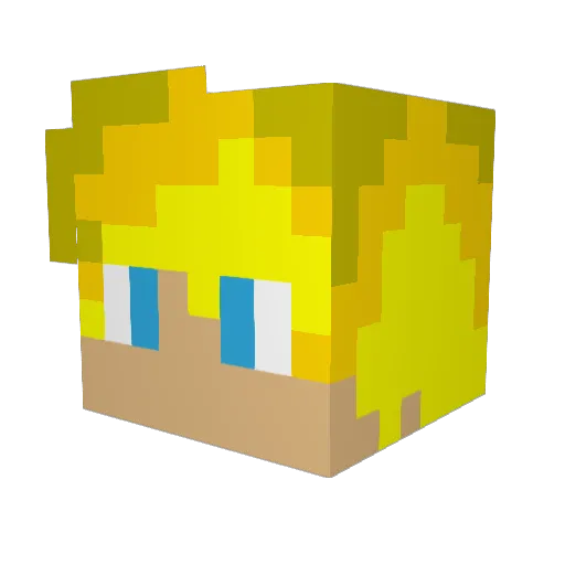 _Aubin Minecraft avatar head, 3D render