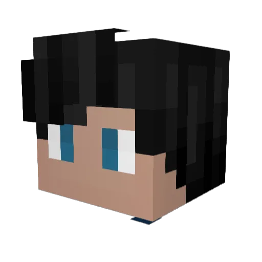 _Auk_ Minecraft avatar head, 3D render