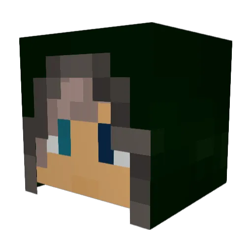 _Aurelian Minecraft avatar head, 3D render