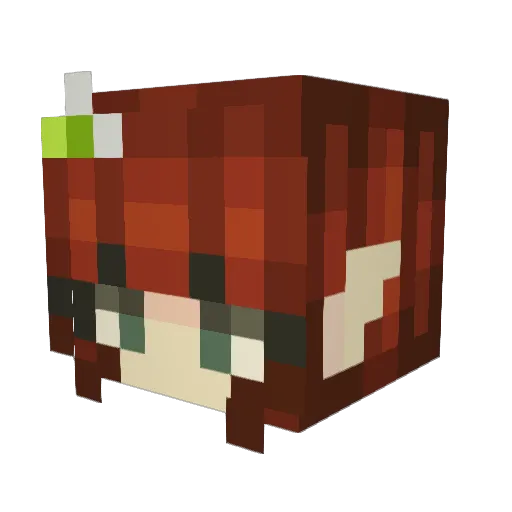 _Aurora111 Minecraft avatar head, 3D render