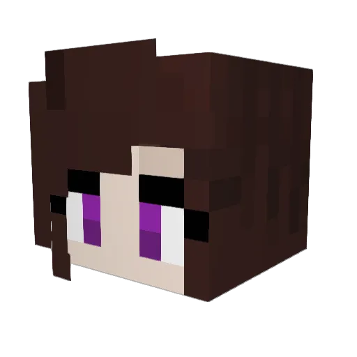 _Austriacki_ Minecraft avatar head, 3D render