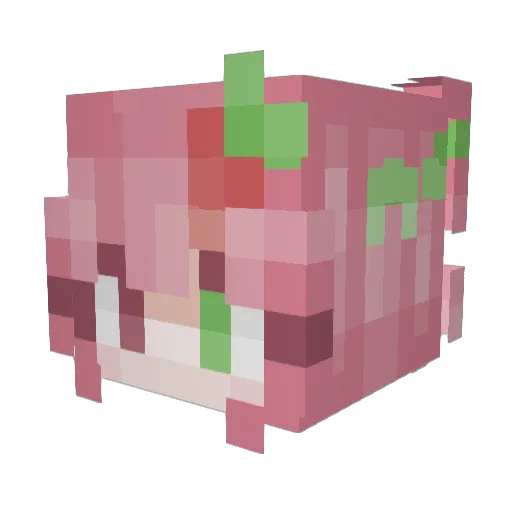 _Autumn_Rose_ Minecraft avatar head, 3D render