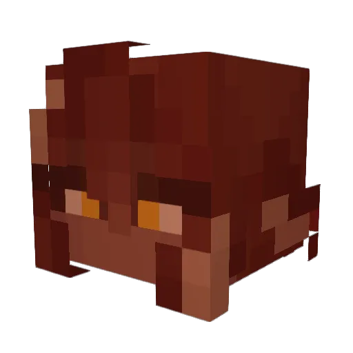 _Aventurin Minecraft avatar head, 3D render