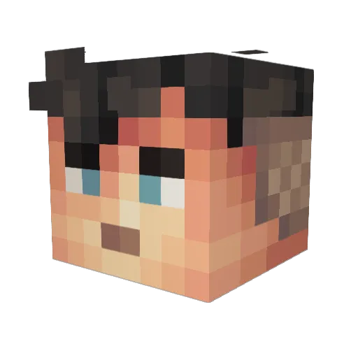 _Avid_ Minecraft avatar head, 3D render
