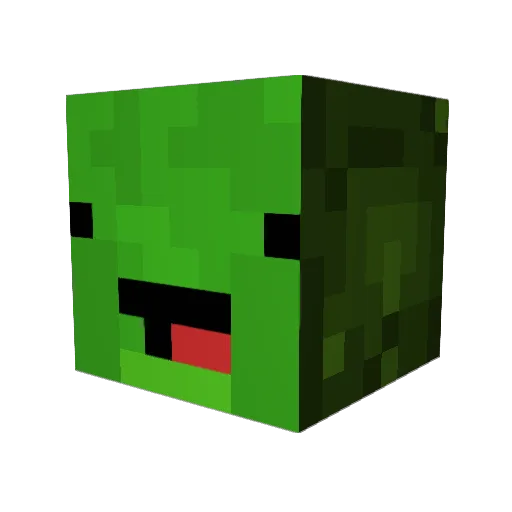 _Avocat_ Minecraft avatar head, 3D render