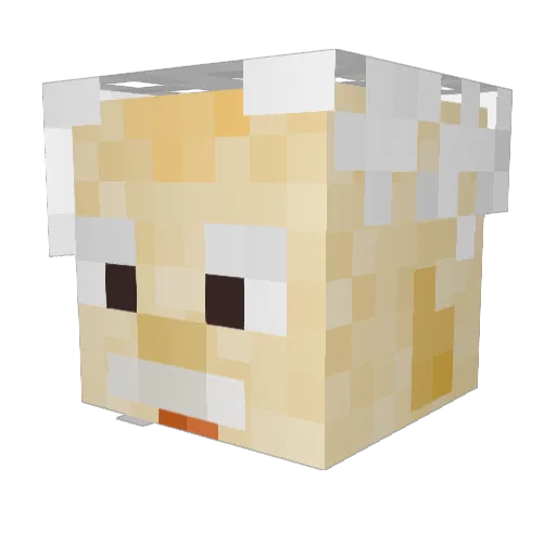 _Avus Minecraft avatar head, 3D render