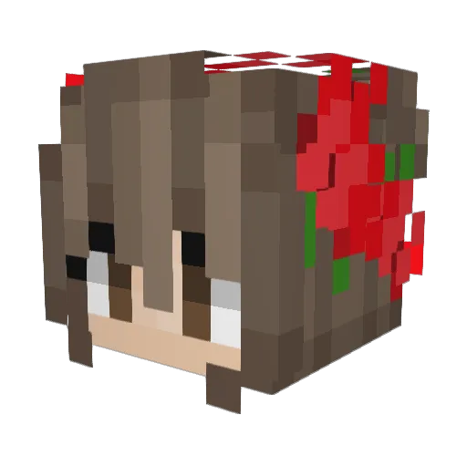 _AwesomeAA_ Minecraft avatar head, 3D render