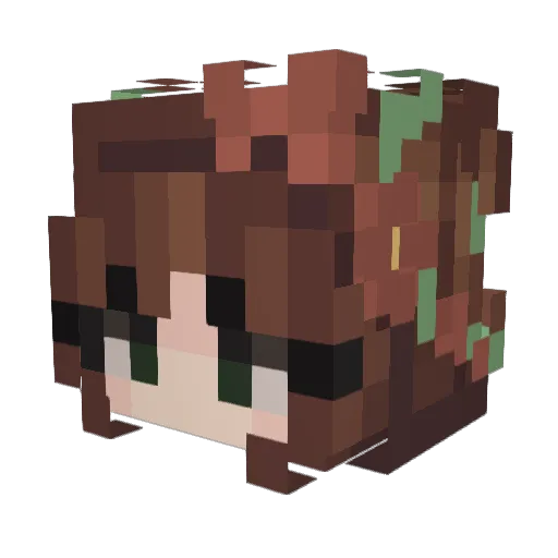 _Axii_ Minecraft avatar head, 3D render