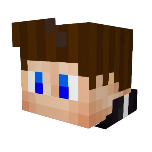 _Aycekirdegi_ Minecraft avatar head, 3D render