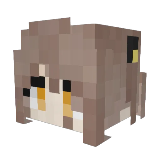 _B0NE Minecraft avatar head, 3D render