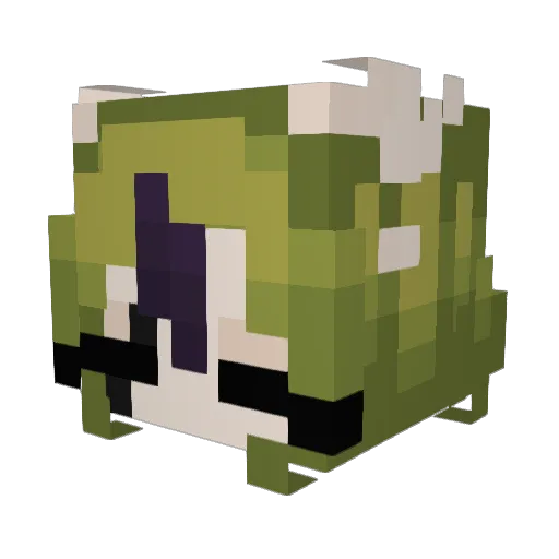 _B10H4z4rd_ Minecraft avatar head, 3D render