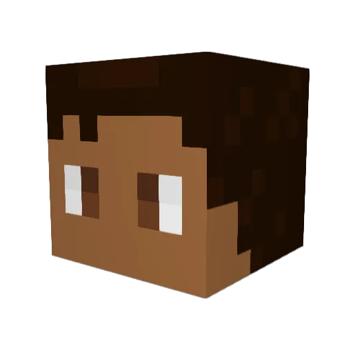 _B3n05 Minecraft avatar head, 3D render