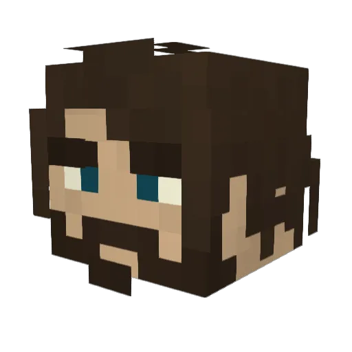 _B4RD_ Minecraft avatar head, 3D render