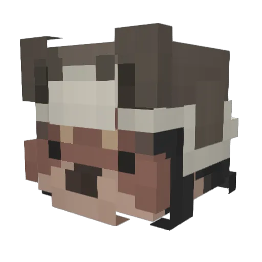 _BAnD0_ Minecraft avatar head, 3D render