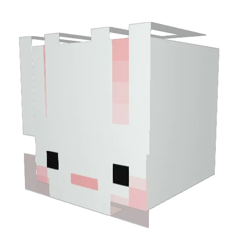 _BBosong_ Minecraft avatar head, 3D render