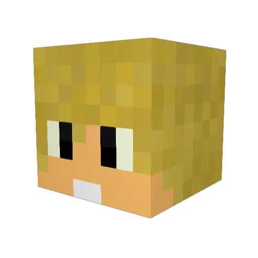 _BIERNOT_ Minecraft avatar head, 3D render