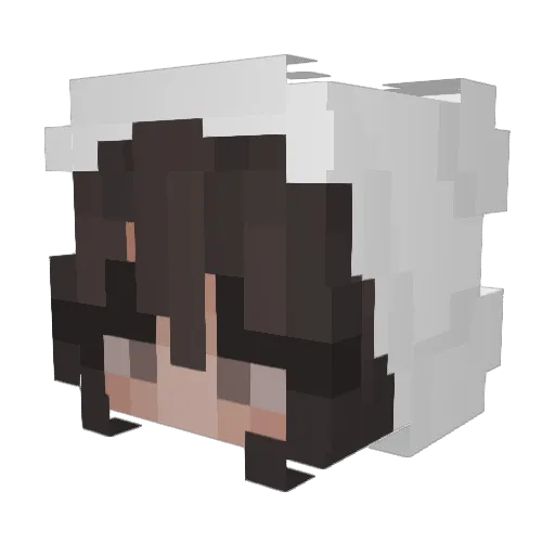_BKMS Minecraft avatar head, 3D render