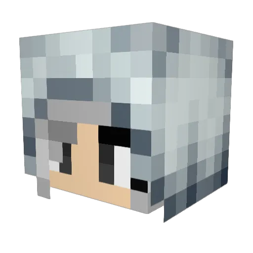 _BO7_ Minecraft avatar head, 3D render