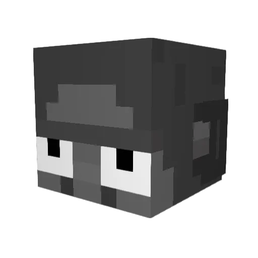 _BOJA Minecraft avatar head, 3D render