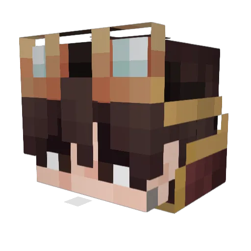 _BORGUTS_ Minecraft avatar head, 3D render