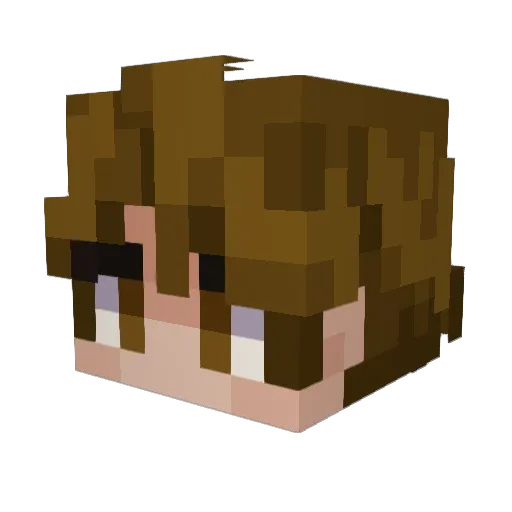 _BRNY Minecraft avatar head, 3D render