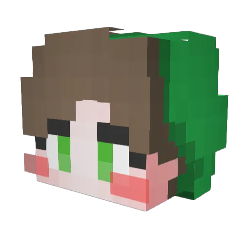 _BUSIK_ Minecraft avatar head, 3D render
