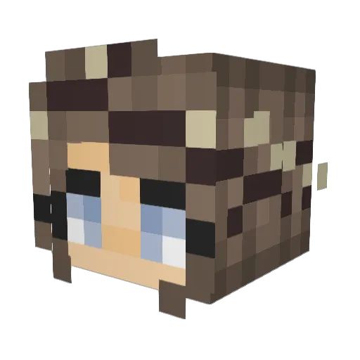 _B_E_A_N_ Minecraft avatar head, 3D render