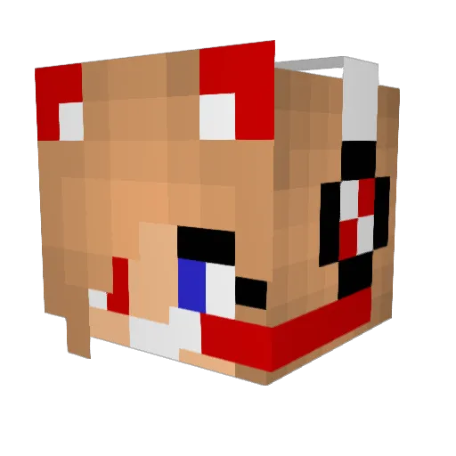_B_E_E_R_ Minecraft avatar head, 3D render