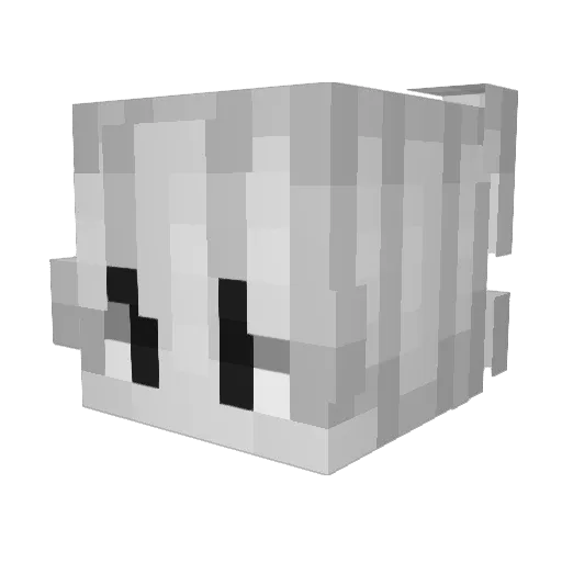 _BaNu Minecraft avatar head, 3D render