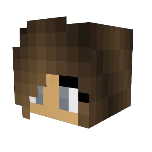 _Baba_booey_ Minecraft avatar head, 3D render