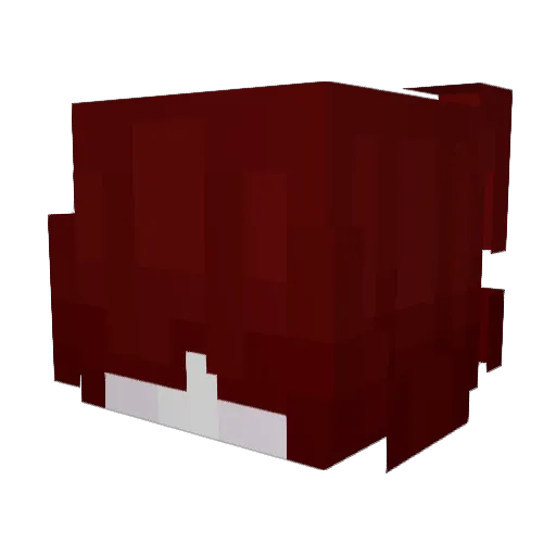 _Bakon_ Minecraft avatar head, 3D render