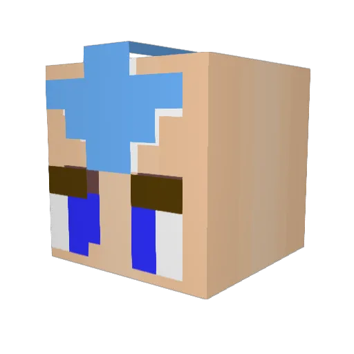 _Bardon_ Minecraft avatar head, 3D render