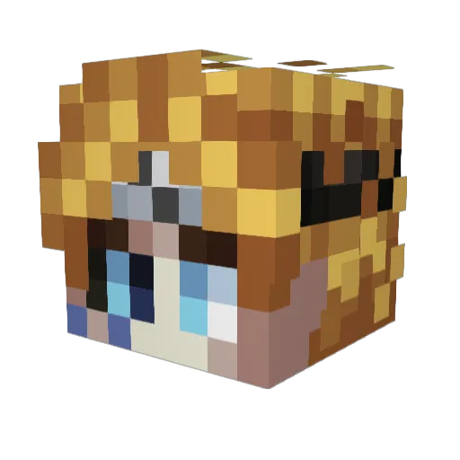 _BaruTo_ Minecraft avatar head, 3D render
